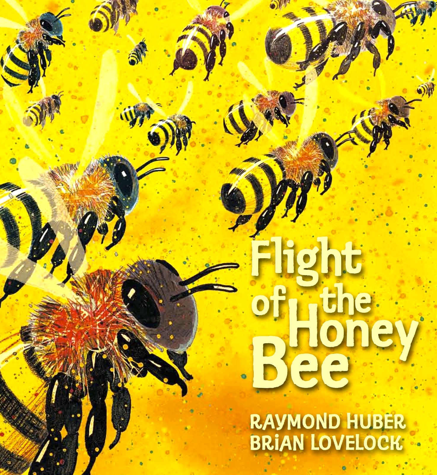 Image result for the flight of the honey bee
