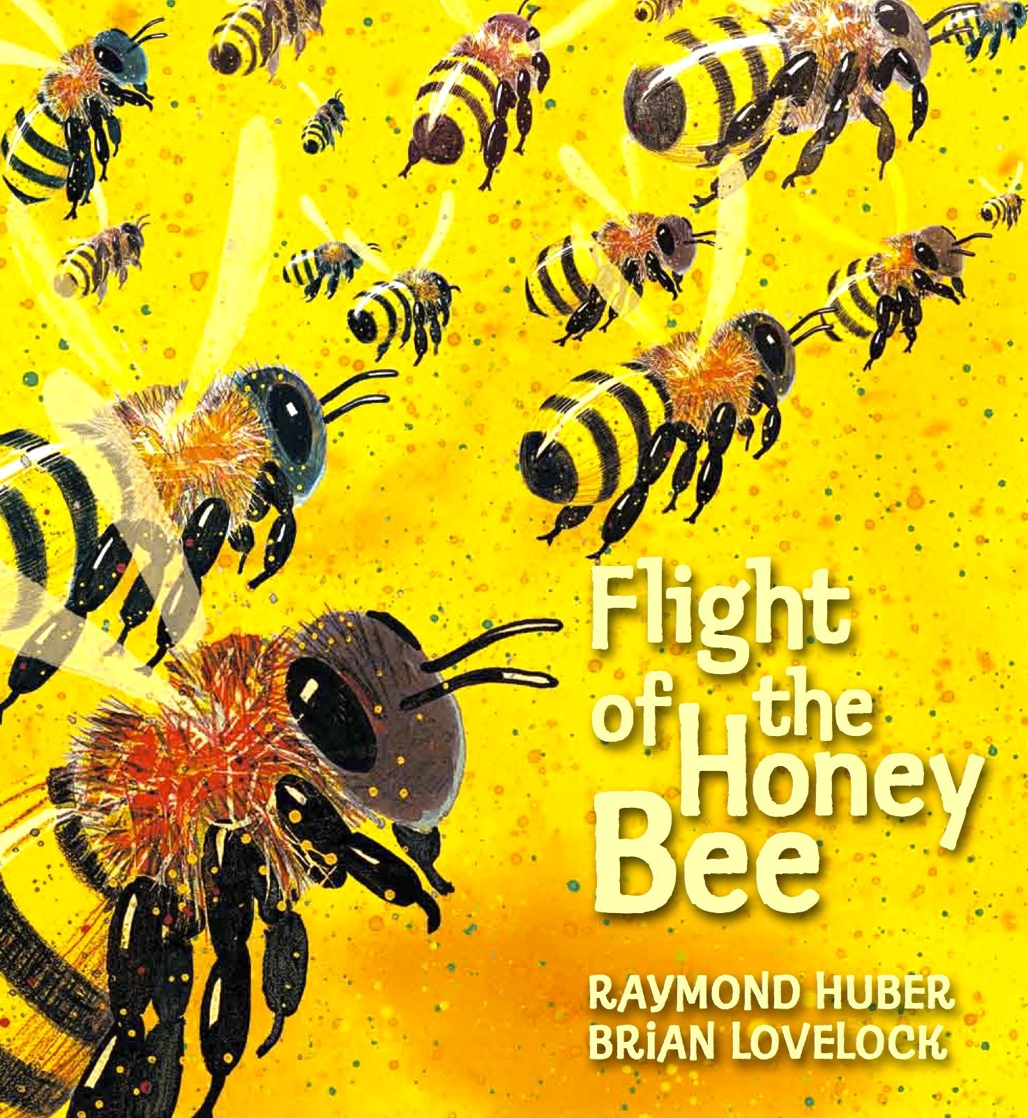 Image result for the flight of the honey bee