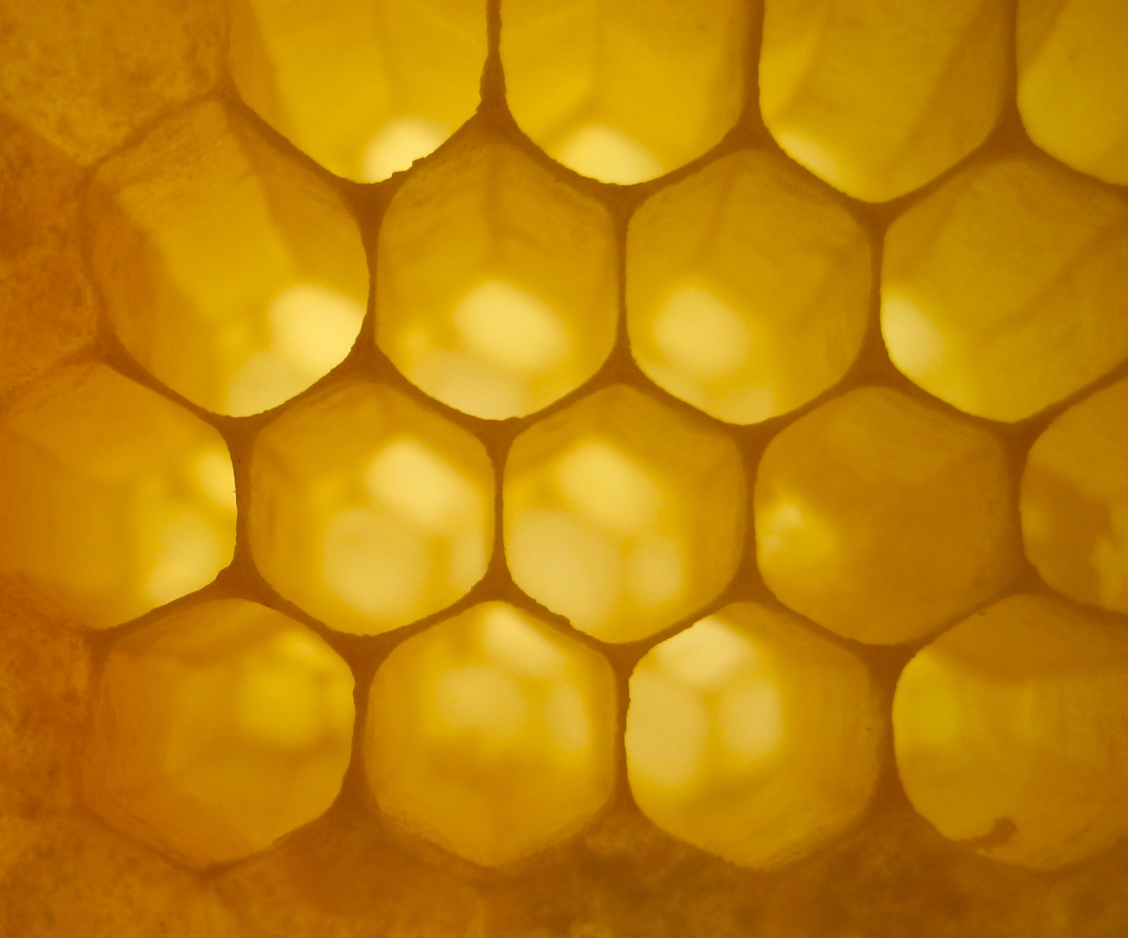 Raymond Huber Honeycomb