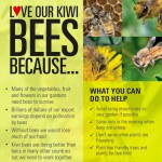 lovekiwibees