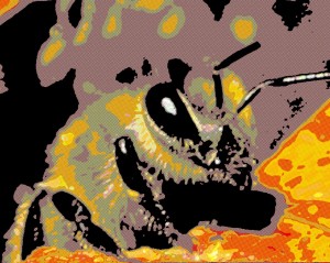 comic bee