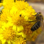 IMG_4047