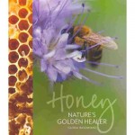 honeybook