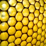COMB