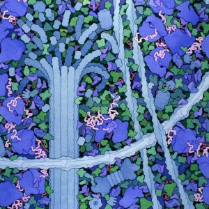 biosites-cytoplasm