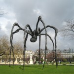 spider